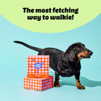 100% Recycled Dog Poo Bags